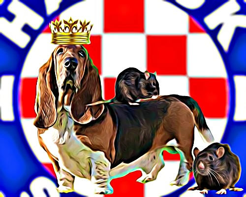 Who is the president, who was the king, and who are the&nbsp;rats?